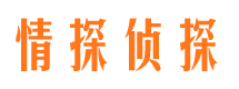 宣化婚外情调查取证